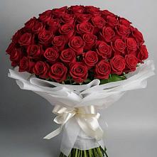 Букет 101 Красная роза Блэк Мэджик в Червлённой-Узловой