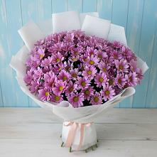 Букет цветов из:  Хризантемы #REPLACE_PRED# Червлённой-Узловой