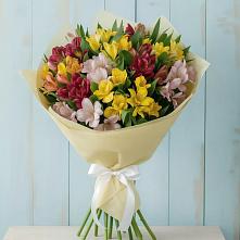 Букет цветов из:  Альстромерии #REPLACE_PRED# Червлённой-Узловой