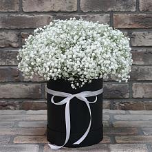 Цветочная композиция из Гипсофила в шляпной коробке #REPLACE_PRED# Червлённой-Узловой