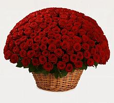Премиум букет из: Розы в Червлённой-Узловой